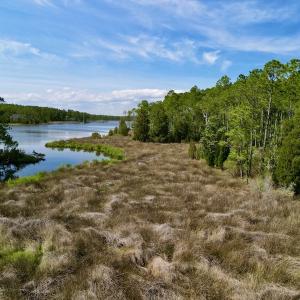 Photo #21 of Off State Road 1901, Aurora, NC 8.3 acres