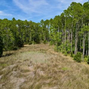 Photo #22 of Off State Road 1901, Aurora, NC 8.3 acres