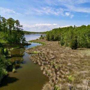 Photo #23 of Off State Road 1901, Aurora, NC 8.3 acres