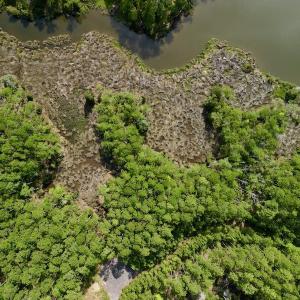 Photo #28 of Off State Road 1901, Aurora, NC 8.3 acres