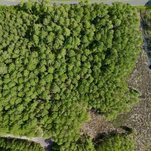 Photo #29 of Off State Road 1901, Aurora, NC 8.3 acres