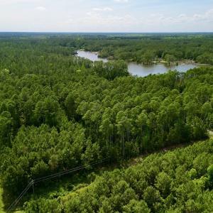 Photo #4 of Off State Road 1901, Aurora, NC 8.3 acres