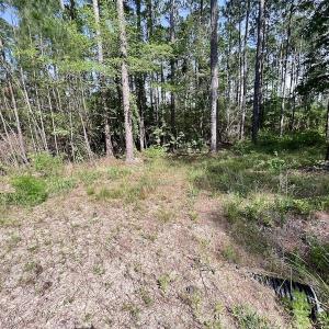 Photo #34 of Off State Road 1901, Aurora, NC 8.3 acres