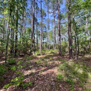Photo #37 of Off State Road 1901, Aurora, NC 8.3 acres