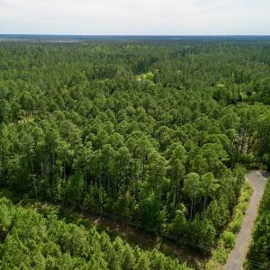 Photo #5 of Off State Road 1901, Aurora, NC 8.3 acres