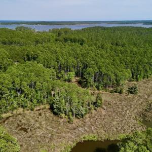 Photo #6 of Off State Road 1901, Aurora, NC 8.3 acres