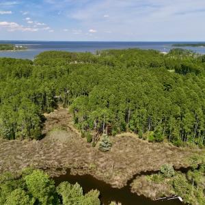 Photo #8 of Off State Road 1901, Aurora, NC 8.3 acres