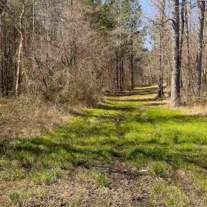 Photo #10 of SOLD property in 930 Lawson Farm Road, Roxboro, NC 176.9 acres