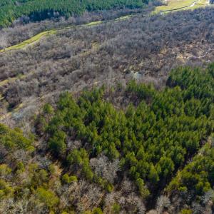 Photo #20 of SOLD property in 930 Lawson Farm Road, Roxboro, NC 176.9 acres
