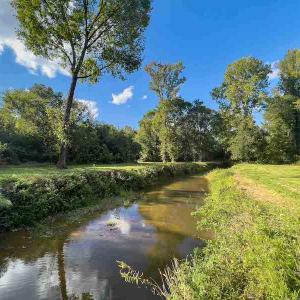 Photo #21 of SOLD property in 930 Lawson Farm Road, Roxboro, NC 176.9 acres