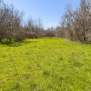 Photo #27 of SOLD property in 930 Lawson Farm Road, Roxboro, NC 176.9 acres