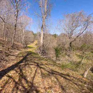 Photo #38 of SOLD property in 930 Lawson Farm Road, Roxboro, NC 176.9 acres
