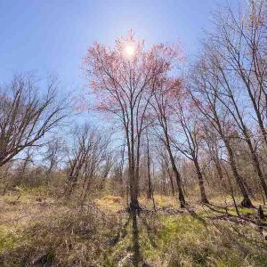 Photo #41 of SOLD property in 930 Lawson Farm Road, Roxboro, NC 176.9 acres