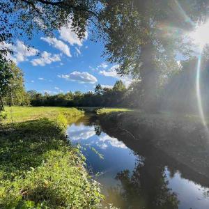 Photo #48 of SOLD property in 930 Lawson Farm Road, Roxboro, NC 176.9 acres