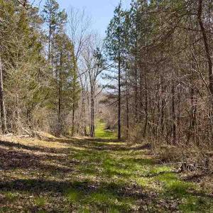 Photo #50 of SOLD property in 930 Lawson Farm Road, Roxboro, NC 176.9 acres