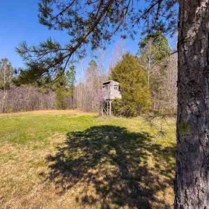 Photo #53 of SOLD property in 930 Lawson Farm Road, Roxboro, NC 176.9 acres