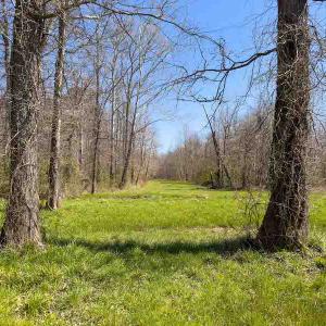 Photo #55 of SOLD property in 930 Lawson Farm Road, Roxboro, NC 176.9 acres