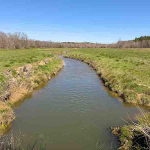 Photo #59 of SOLD property in 930 Lawson Farm Road, Roxboro, NC 176.9 acres