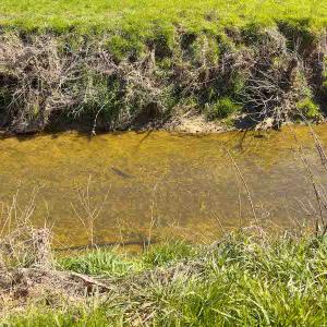 Photo #63 of SOLD property in 930 Lawson Farm Road, Roxboro, NC 176.9 acres