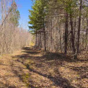 Photo #64 of SOLD property in 930 Lawson Farm Road, Roxboro, NC 176.9 acres
