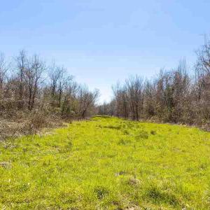 Photo #67 of SOLD property in 930 Lawson Farm Road, Roxboro, NC 176.9 acres