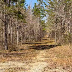 Photo #70 of SOLD property in 930 Lawson Farm Road, Roxboro, NC 176.9 acres