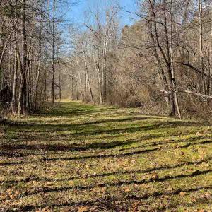 Photo #73 of SOLD property in 930 Lawson Farm Road, Roxboro, NC 176.9 acres