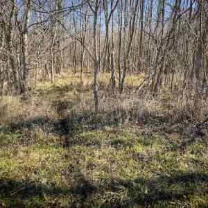 Photo #76 of SOLD property in 930 Lawson Farm Road, Roxboro, NC 176.9 acres