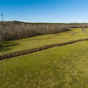 Photo #78 of SOLD property in 930 Lawson Farm Road, Roxboro, NC 176.9 acres