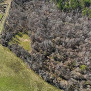Photo #82 of SOLD property in 930 Lawson Farm Road, Roxboro, NC 176.9 acres