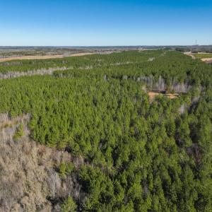 Photo #96 of SOLD property in 930 Lawson Farm Road, Roxboro, NC 176.9 acres