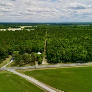 Photo #2 of SOLD property in Off Hwy 903, Snow Hill, NC 115.0 acres