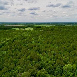 Photo #9 of SOLD property in Off Hwy 903, Snow Hill, NC 115.0 acres