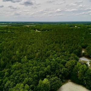 Photo #10 of SOLD property in Off Hwy 903, Snow Hill, NC 115.0 acres