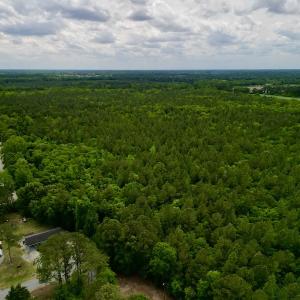 Photo #11 of SOLD property in Off Hwy 903, Snow Hill, NC 115.0 acres