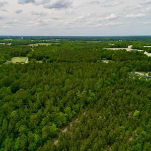 Photo #12 of SOLD property in Off Hwy 903, Snow Hill, NC 115.0 acres