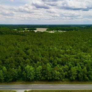 Photo #14 of SOLD property in Off Hwy 903, Snow Hill, NC 115.0 acres