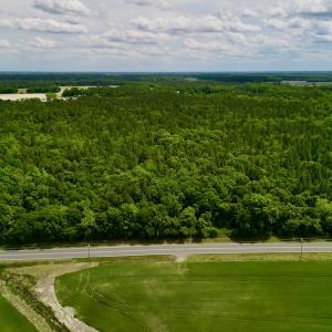 Photo #3 of SOLD property in Off Hwy 903, Snow Hill, NC 115.0 acres