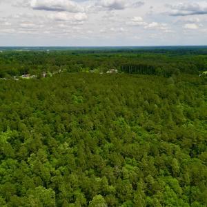 Photo #18 of SOLD property in Off Hwy 903, Snow Hill, NC 115.0 acres