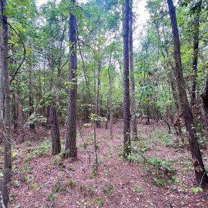 Photo #19 of SOLD property in Off Hwy 903, Snow Hill, NC 115.0 acres