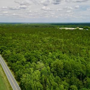 Photo #4 of SOLD property in Off Hwy 903, Snow Hill, NC 115.0 acres