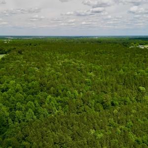 Photo #5 of SOLD property in Off Hwy 903, Snow Hill, NC 115.0 acres