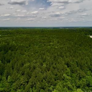 Photo #6 of SOLD property in Off Hwy 903, Snow Hill, NC 115.0 acres