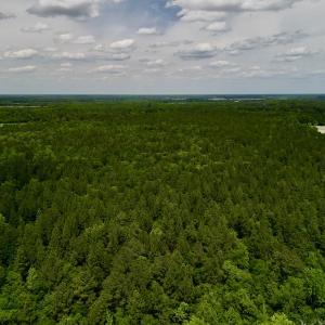 Photo #6 of SOLD property in Off Hwy 903, Snow Hill, NC 115.0 acres