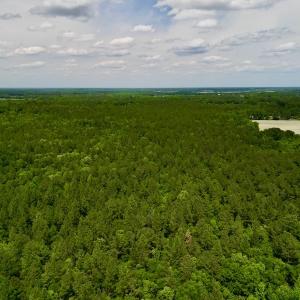 Photo #7 of SOLD property in Off Hwy 903, Snow Hill, NC 115.0 acres