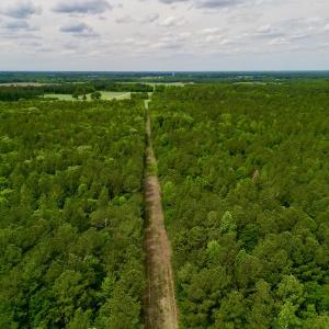 Photo #8 of SOLD property in Off Hwy 903, Snow Hill, NC 115.0 acres