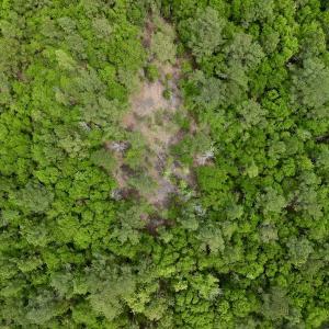 Photo #20 of SOLD property in Off Hwy 903, Snow Hill, NC 115.0 acres