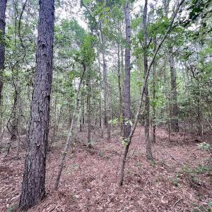 Photo #21 of SOLD property in Off Hwy 903, Snow Hill, NC 115.0 acres
