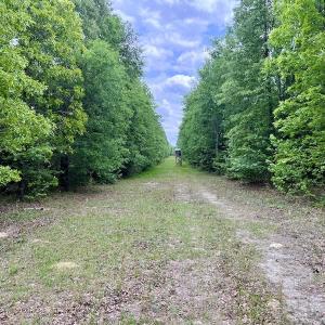 Photo #25 of SOLD property in Off Hwy 903, Snow Hill, NC 115.0 acres