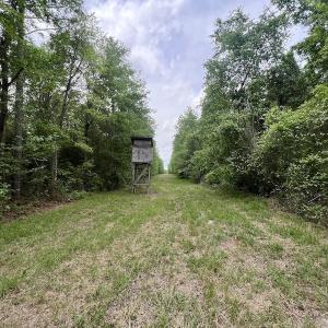 Photo #26 of SOLD property in Off Hwy 903, Snow Hill, NC 115.0 acres